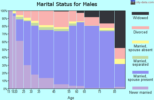 Scott County marital status for males