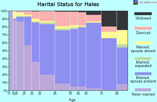 De Baca County marital status for males
