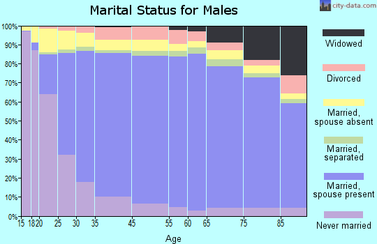 Shenandoah County marital status for males