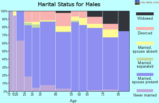 Shelby County marital status for males