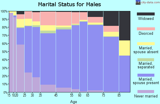 Swain County marital status for males
