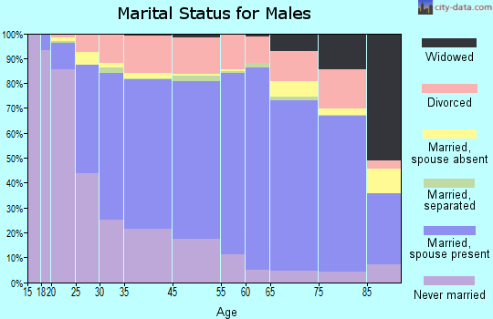 Avery County marital status for males
