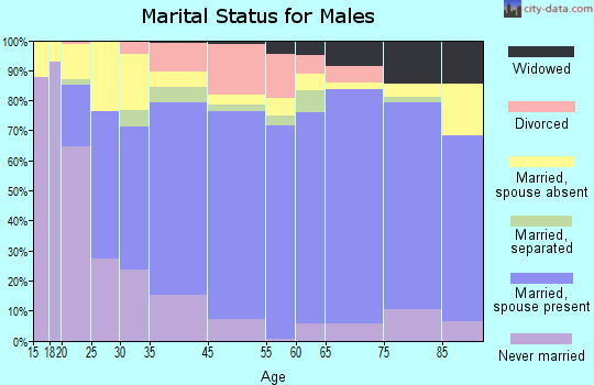 Smyth County marital status for males