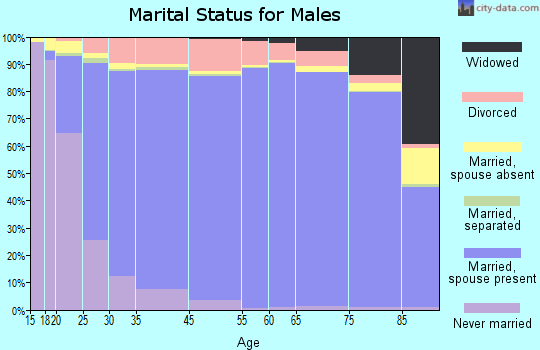 Morgan County marital status for males