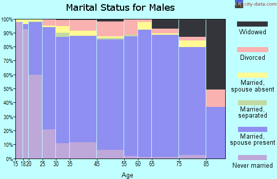 Van Buren County marital status for males