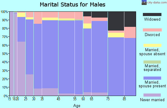 Lee County marital status for males