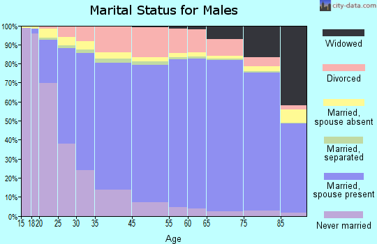 Shawnee County marital status for males
