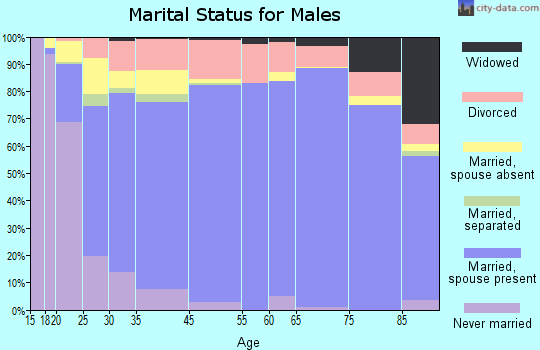 Ray County marital status for males