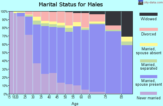 Cobb County marital status for males