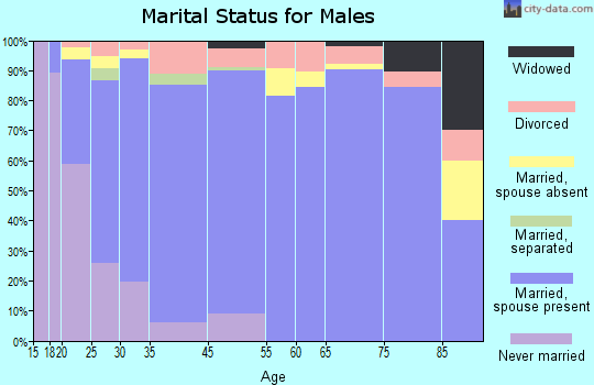 Wells County marital status for males