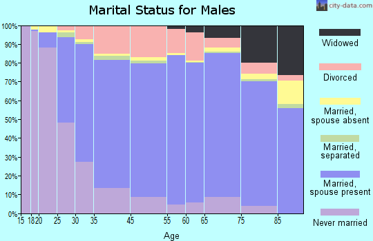 Nome Census Area marital status for males