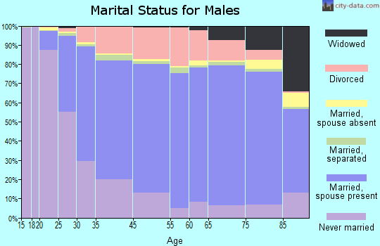 Warren County marital status for males