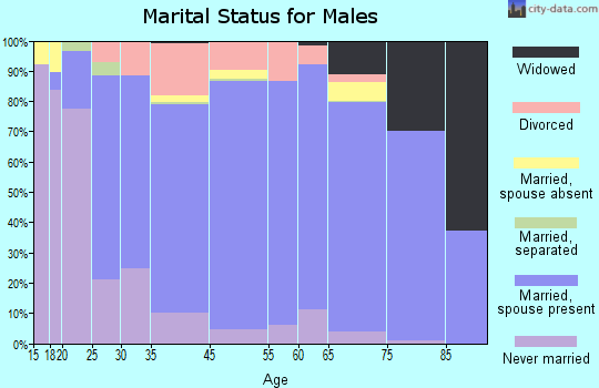 Webster County marital status for males