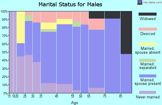 Vermilion County marital status for males