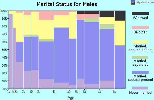 Washington County marital status for males