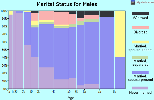 Sussex County marital status for males