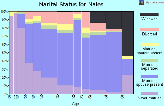 York County marital status for males