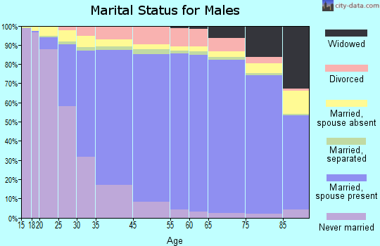 White County marital status for males