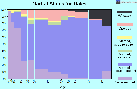 Tazewell County marital status for males