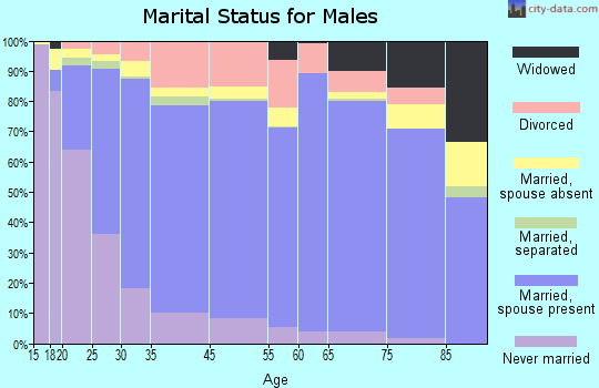 Bradley County marital status for males
