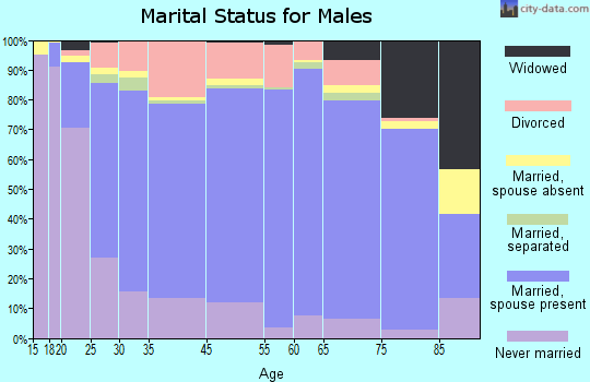 Webster County marital status for males