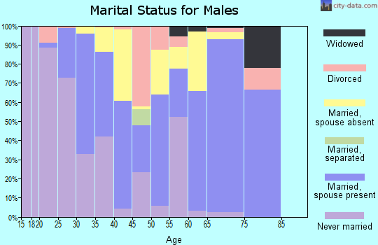 Denali Borough marital status for males