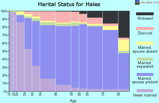 Northwest Arctic Borough marital status for males