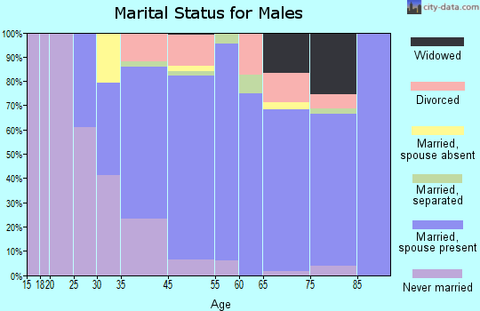 Washington County marital status for males