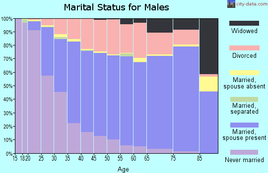 Nez Perce County marital status for males