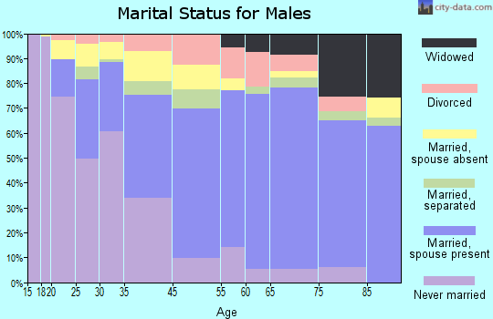 Winneshiek County marital status for males