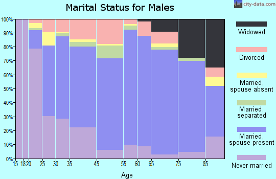 Macon County marital status for males