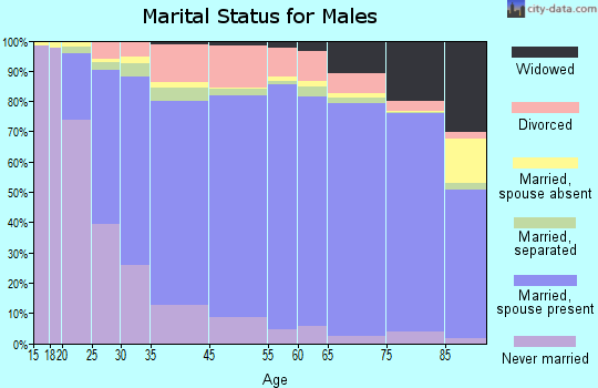 Madison County marital status for males