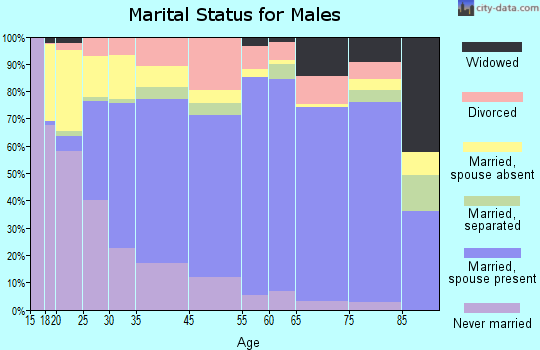 Worth County marital status for males