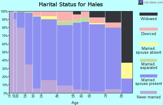 Appomattox County marital status for males