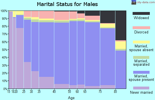 Will County marital status for males