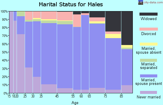 Wabaunsee County marital status for males