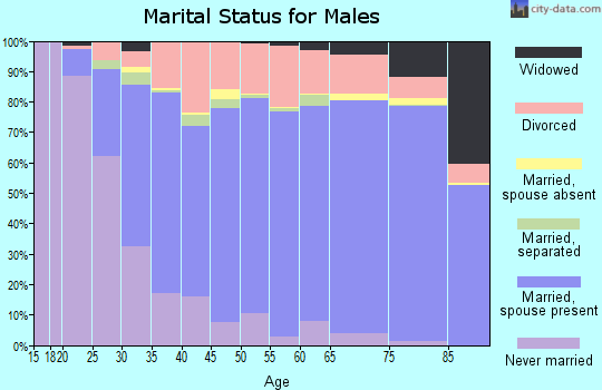Wythe County marital status for males