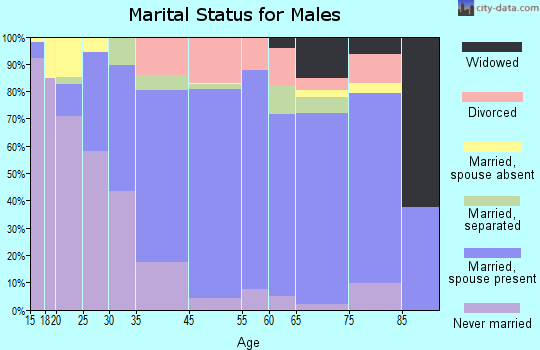 Meriwether County marital status for males
