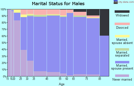 Prince of Wales-Outer Ketchikan Census Area marital status for males