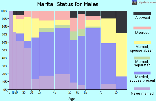 Winnebago County marital status for males