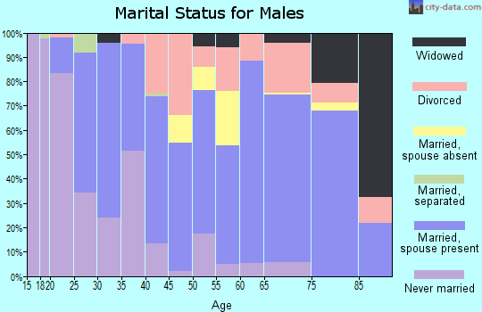Castro County marital status for males