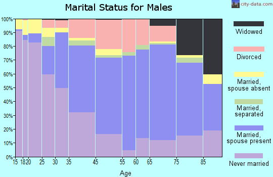 Shelby County marital status for males