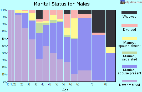 Dillingham Census Area marital status for males