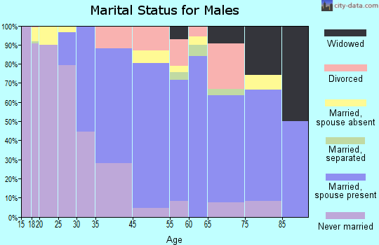 Stoddard County marital status for males