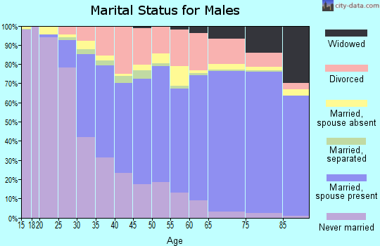 Lee County marital status for males