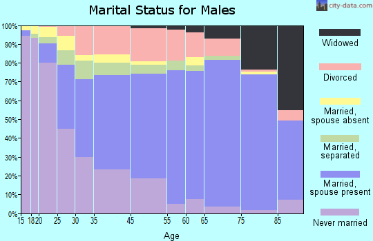 Taylor County marital status for males
