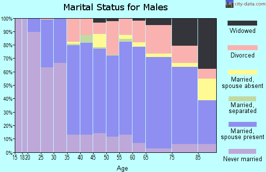 Koochiching County marital status for males