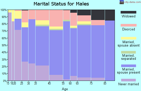 Washington County marital status for males