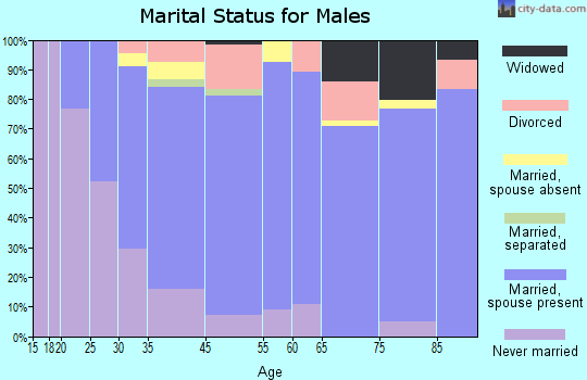 Paulding County Georgia. Paulding County marital status