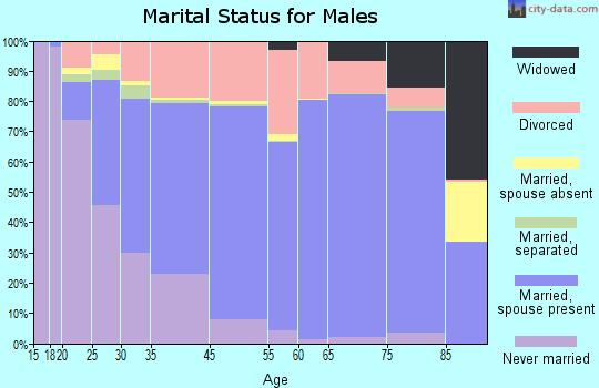 Peach County marital status for males